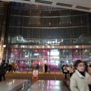 잇와플9호점 | •서울• 코엑스 잇더서울 : 푸드 페스티벌 먹방파티 서울에서 음식이 내린다면