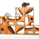 고양이 놀이터 이미지