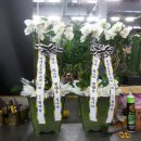 송생초등학교 이미지