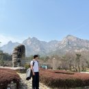 월출산 등반 후기 (코스, 구름다리, 천황사, 천황봉 등)