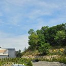 다산방역 | 가평 188다산트라 풀빌라 독채1동 내돈내방 후기