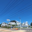 리틀미코노스5 이미지