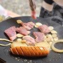 비둘기 펜션 이미지