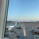 뽀빠이카 | takamatsu | A light thing🍵🪷🫧