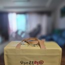 해동에너지 | [내돈내산] 압구정공주떡 흑임자인절미 2호 2kg 소분 냉동 해동 후기