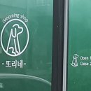 또리네 멍멍이 미용실 이미지