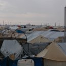 시리아: 북동부 알홀 캠프 내 정신건강 지원 이미지