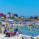 남호해수욕장 이미지