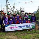 김광수농장 이미지