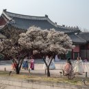 고궁