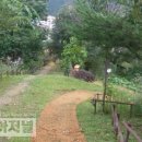 황부자 며느리 친정가는 둘레길 이미지