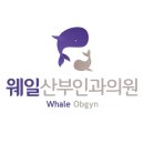 웨일산부인과의원 이미지