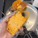 종로-신교-종로-신-201 | 종로 ‘아베베 베이커리 서울’: ㅇㅂㅂ 넘쳐흐르는 크림빵 비/추천 찐후기