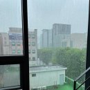 수자연 | 수자연소아과 진료 후기 우리동네소아과 추천