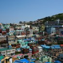 우리동네 감천 이미지