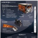 알누리