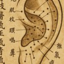 귀건강이혈테라피 이미지