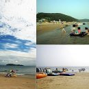 바다로 가는 길목 이미지