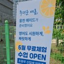 웅천초등학교 앞 이미지