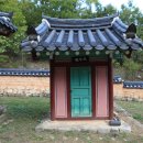 충신의사단비 이미지