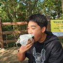 동백복싱클럽 이미지