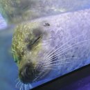 아쿠아민박 이미지