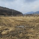 충도리농장 이미지