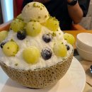 빙설화