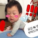 (주)세농 | 1월 첫째주 아기일상 ♥ 모래놀이 스템프찍기 핫케익