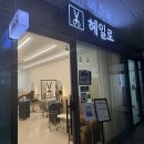 모란 헤일로헤어 손상모 케어 클리닉 후기: 푸석했던 머리가 비단결로!