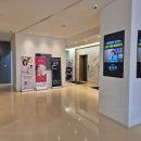 멍케어존 | 송도스킨부스터 벨로테로 리바이브 2cc 시술후기 (통증 멍 사진첨부)