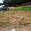 생태랑 놀아볼까 이미지