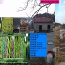 금란한우농장 이미지