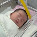 울산 위드여성병원 조리원 후기