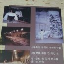 미술관.민속박물관