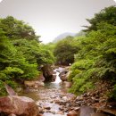 청학펜션 Daum카페