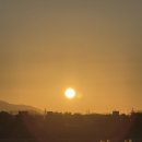대성제과 - 장수군 | 대성제과