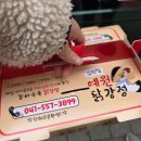 인정받은불낙지 | [장소리뷰] 천안 중앙시장, '인정받은 불낙지' 식당 방문 리뷰 (천안 시장, 전통시장, 호떡, 닭강정...