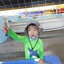 척과농장 이미지