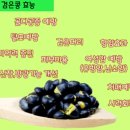 "검은콩의 놀라운 효능" 이미지