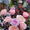 [원데이특강]향기와디퓨저 이미지