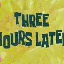 몽실 애견미용 이미지