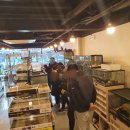 렙타일정글