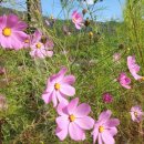 문경자연생태박물관 이미지