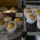 베이커리하우스 | 유명한 일산 카페 배다골베이커리하우스 후기