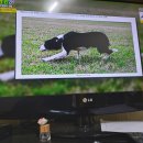 가고파슈퍼 - 함안군 중암7길 30 | 가고파슈퍼