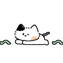 써니의착한식당상모본점 이미지