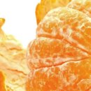 김정현 농장 이미지