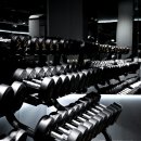 미녀와 야수짐 이미지