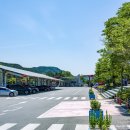 치악산주유소 네이버블로그